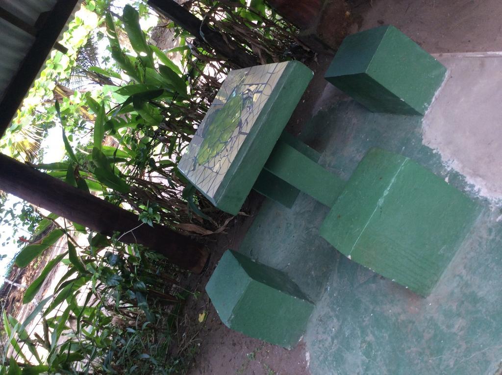 Cabinas Balcon Del Mar Tortuguero Dış mekan fotoğraf