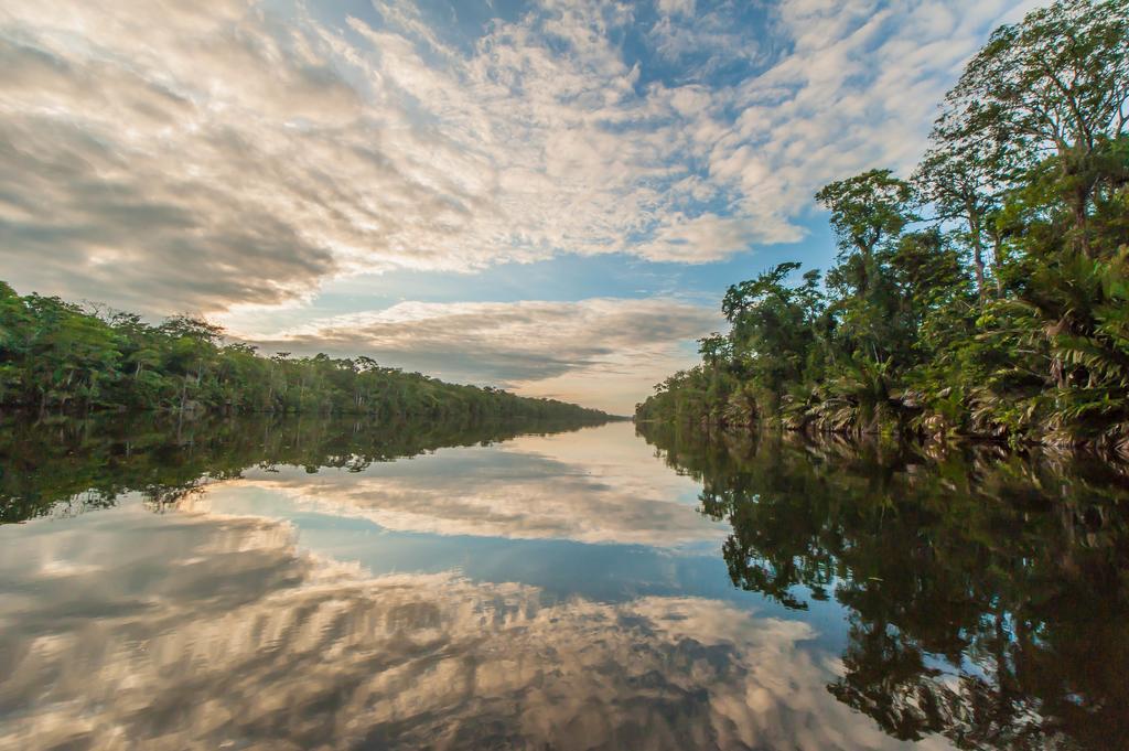 Cabinas Balcon Del Mar Tortuguero Dış mekan fotoğraf