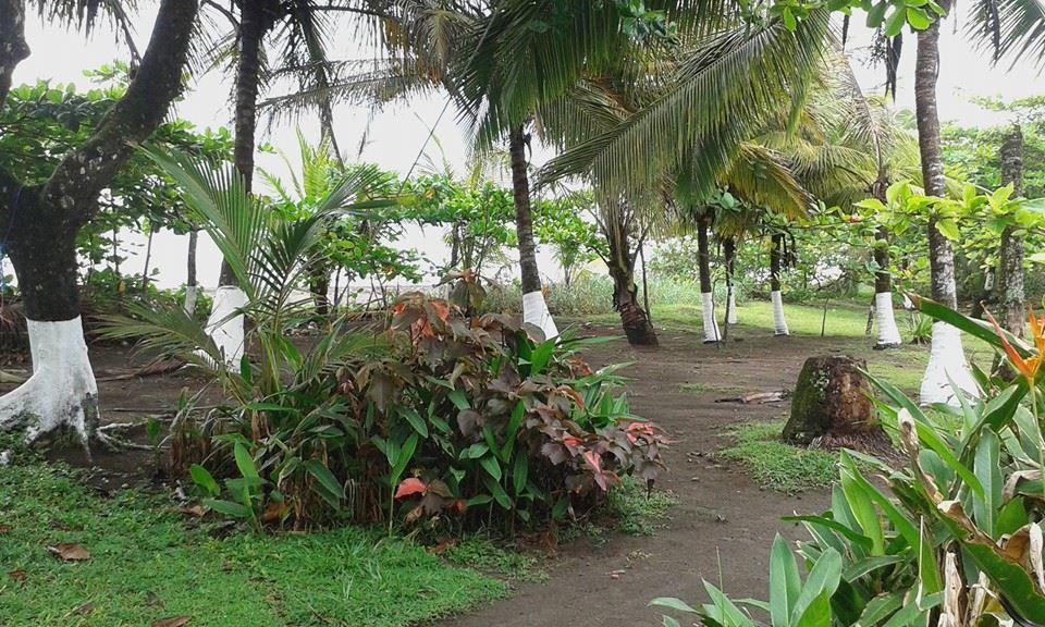 Cabinas Balcon Del Mar Tortuguero Dış mekan fotoğraf