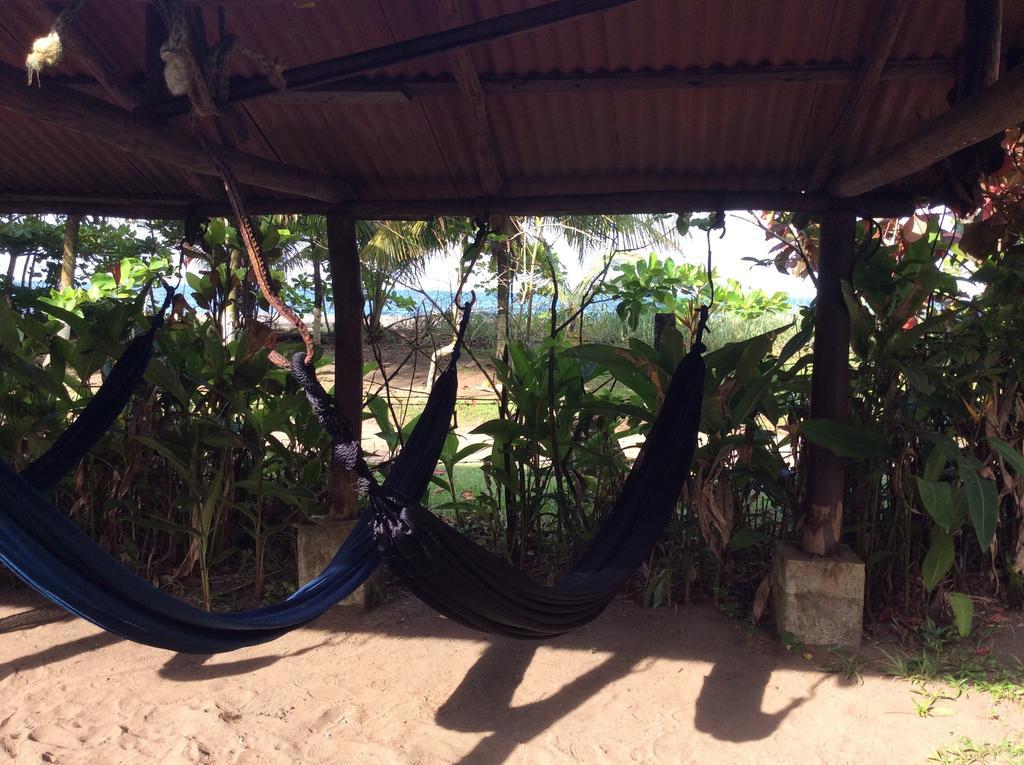 Cabinas Balcon Del Mar Tortuguero Dış mekan fotoğraf